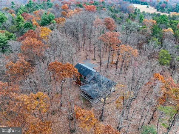 a view of outdoor space with lots of trees