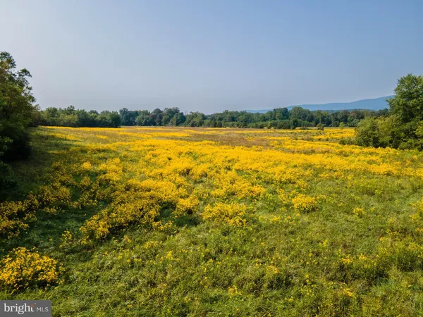 a view of an ocean and a city