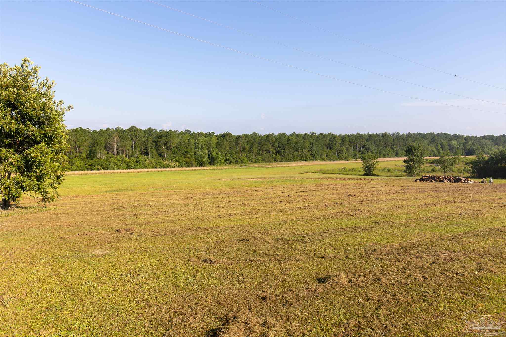 19755 Vaughn Road Seminole, AL 36574 - Photo 1 of 45 a view of an ocean from a mountain
