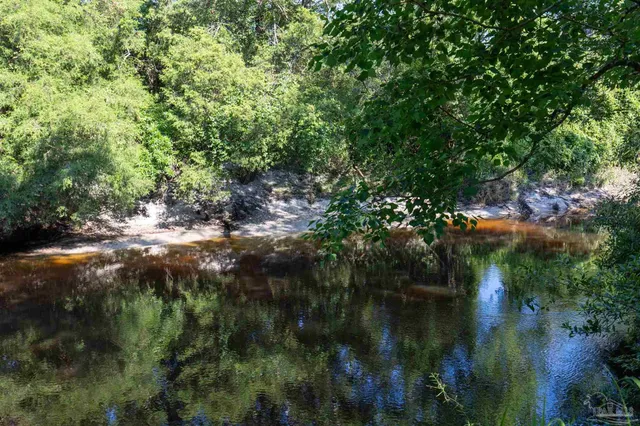 a view of a lake with a tree