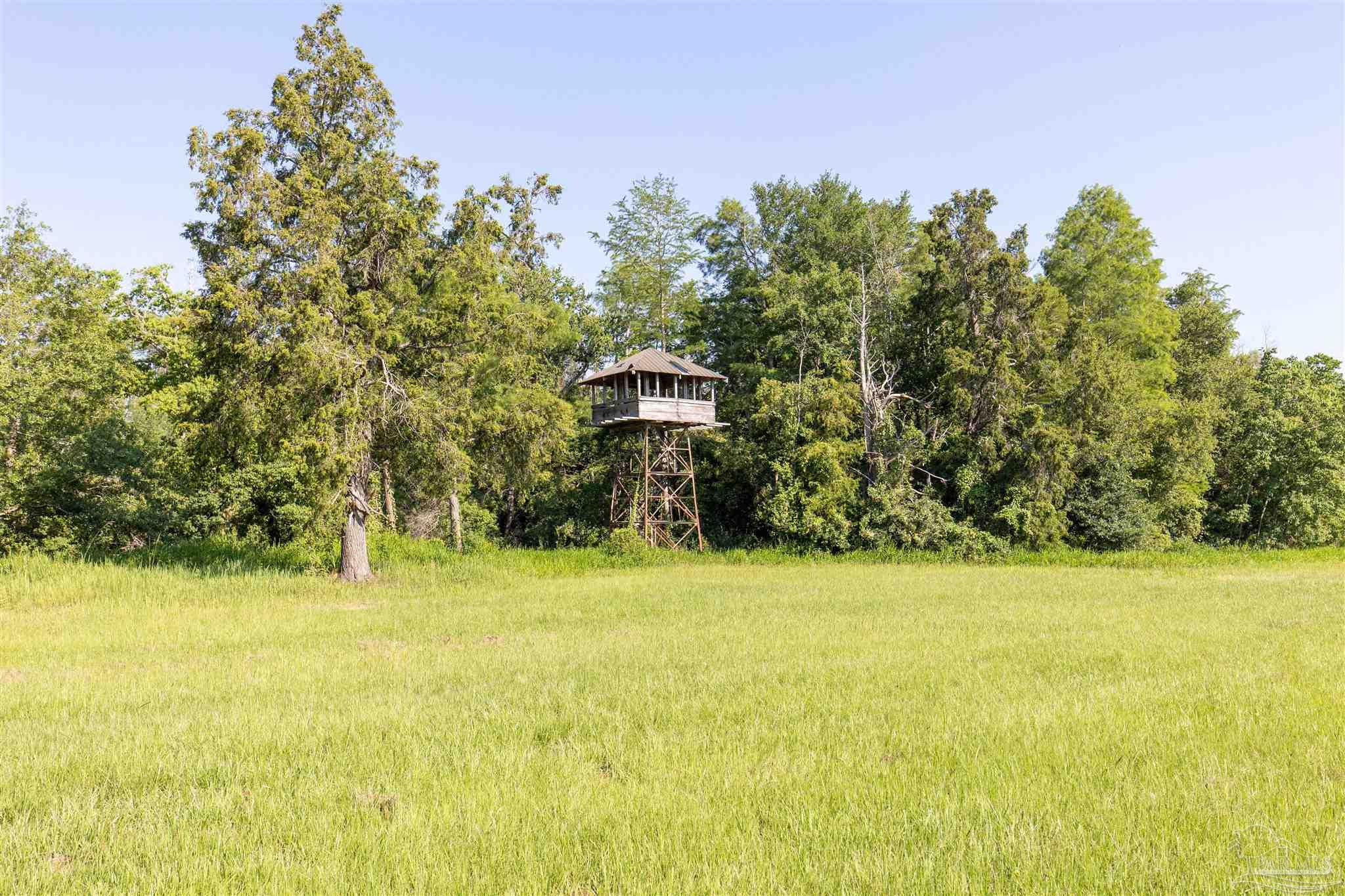 19755 Vaughn Road Seminole, AL 36574 - Photo 16 of 45 a view of a garden with a building in the background