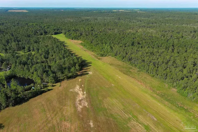 a view of a lake with a mountain in the background