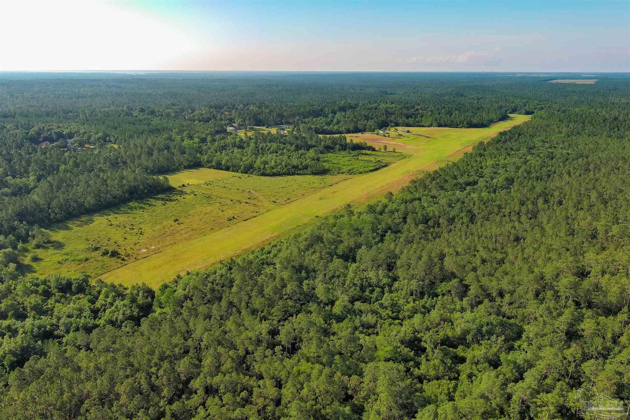 19755 Vaughn Road Seminole, AL 36574 - Photo 21 of 45 an aerial view of a houses with a yard