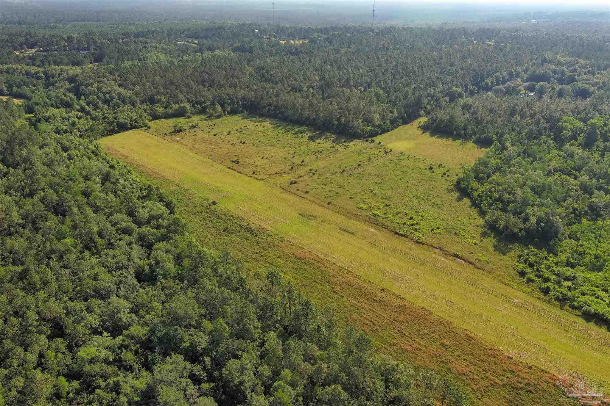 19755 Vaughn Road Seminole, AL 36574 - Photo 22 of 45 a view of a dry yard with wooden fence