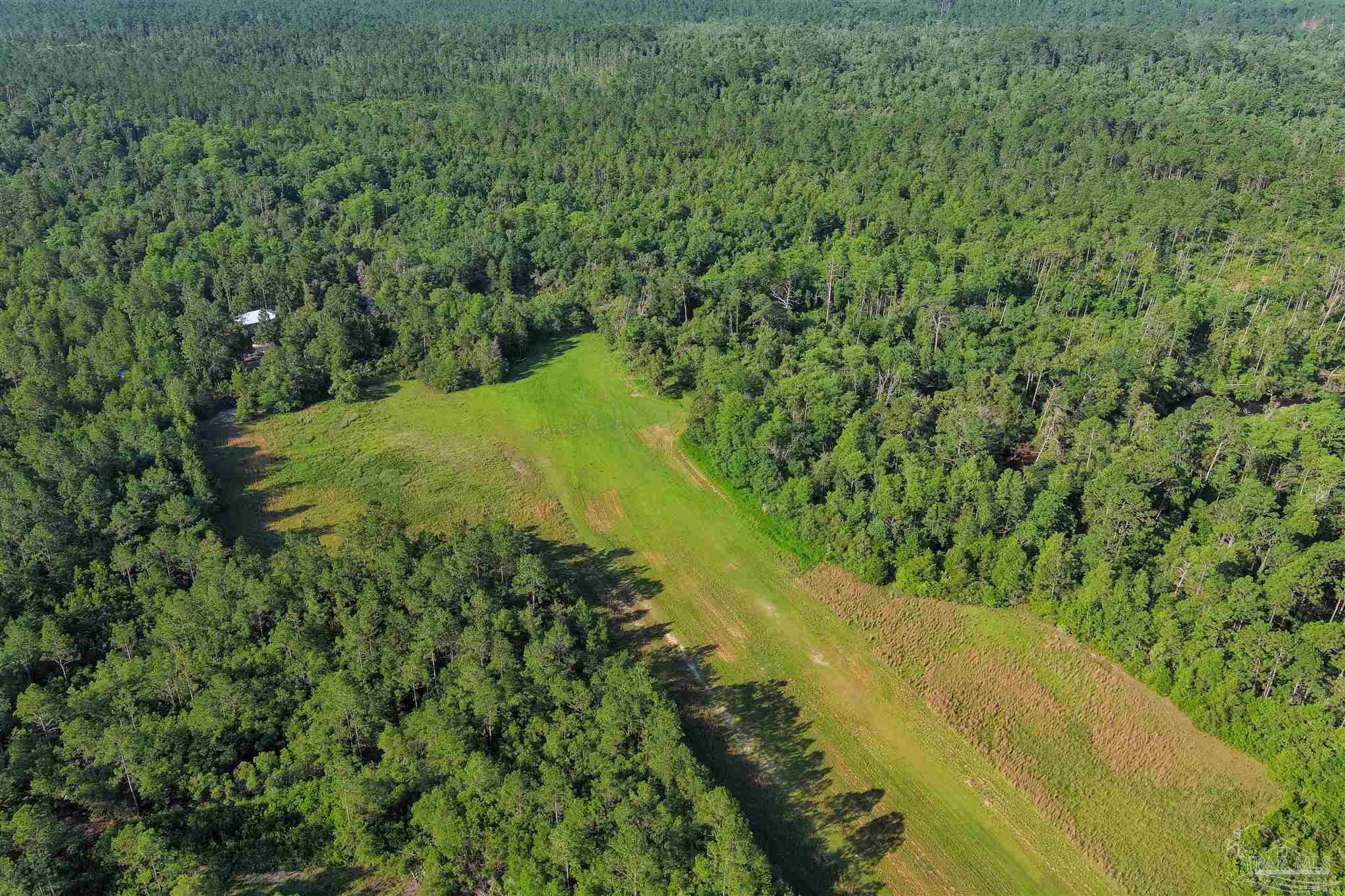 19755 Vaughn Road Seminole, AL 36574 - Photo 25 of 45 a view of a large yard with large trees
