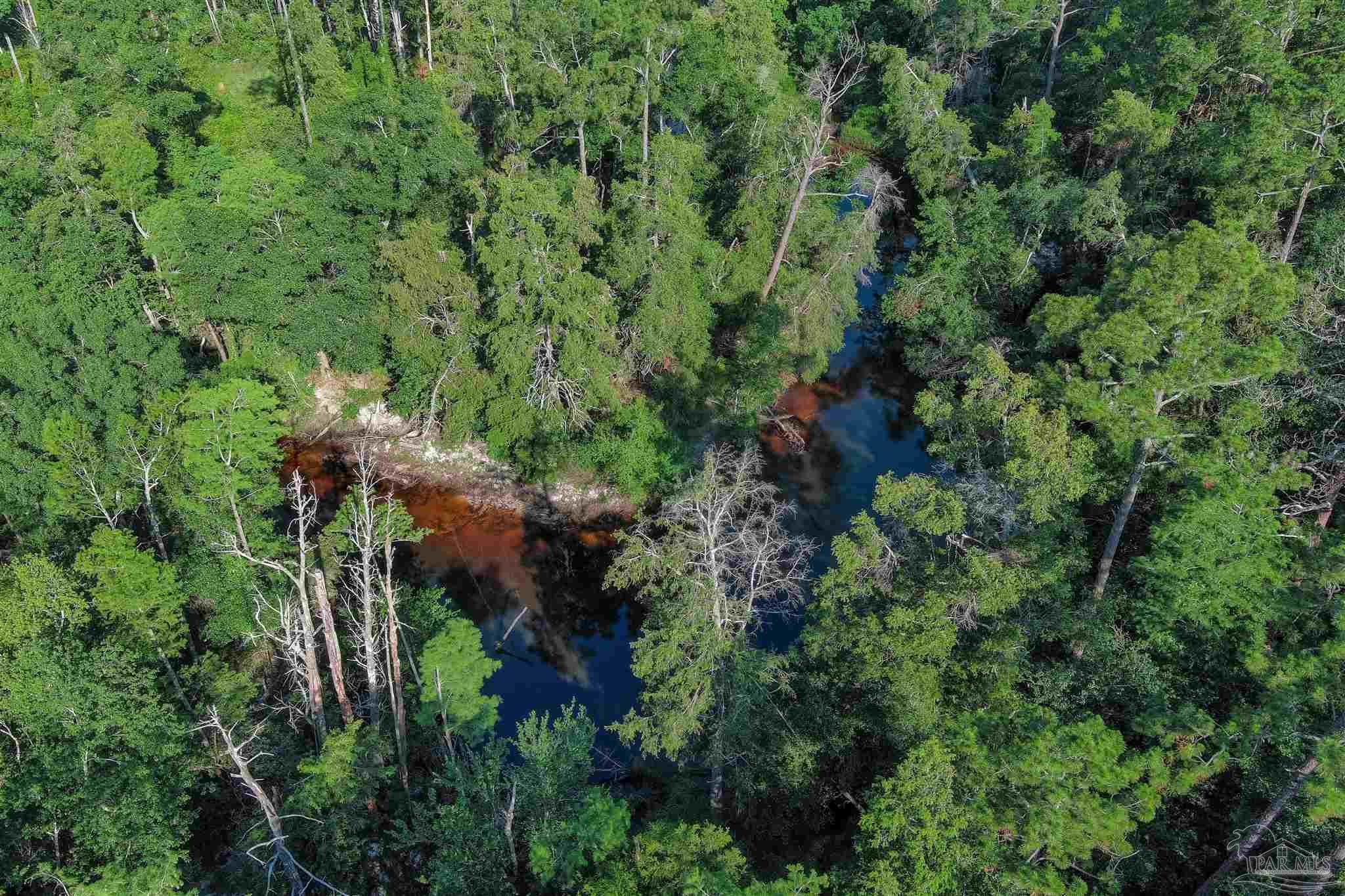 19755 Vaughn Road Seminole, AL 36574 - Photo 26 of 45 an aerial view of residential house with outdoor space and trees all around