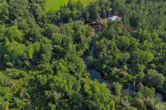 an aerial view of residential house with outdoor space and trees all around
