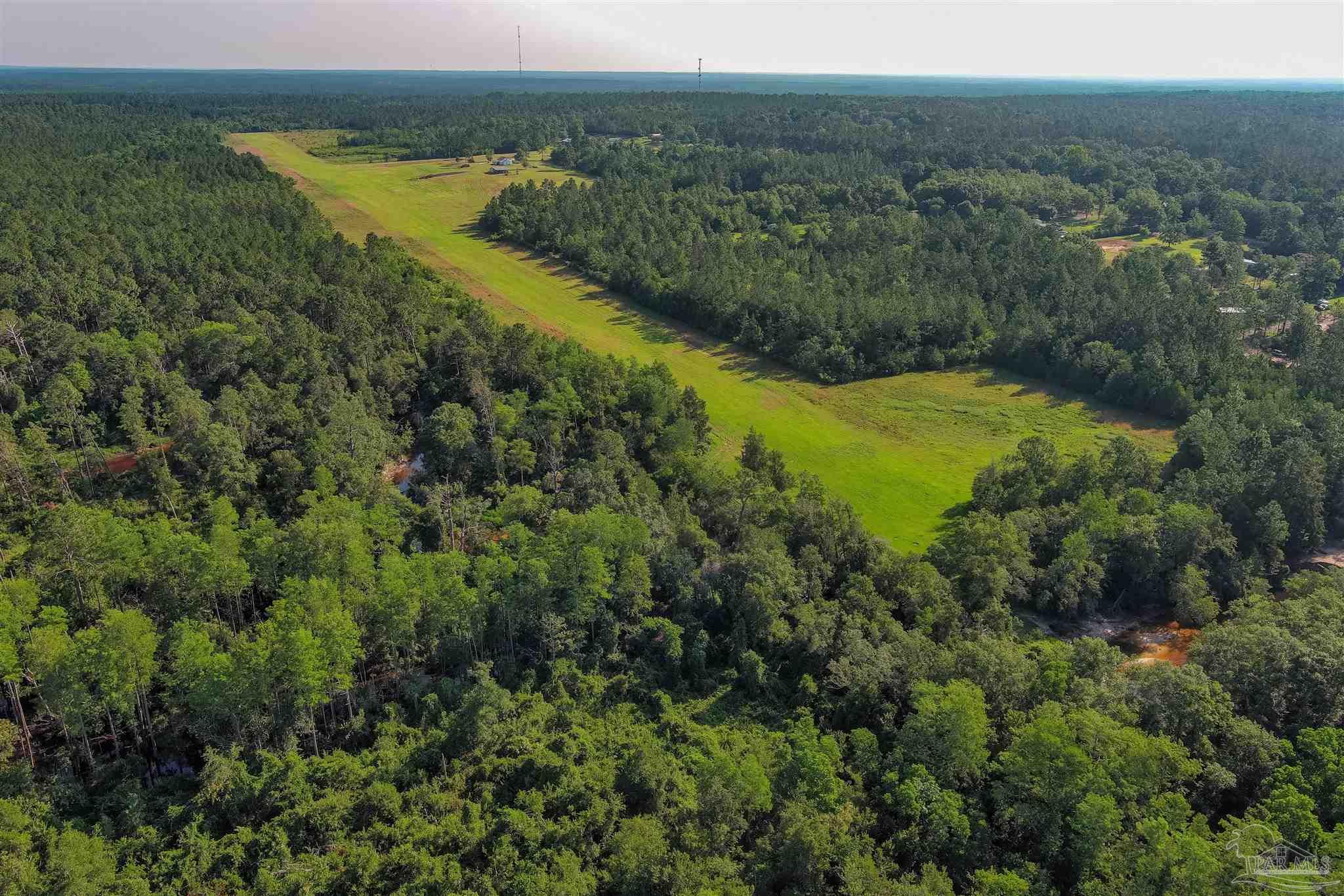 19755 Vaughn Road Seminole, AL 36574 - Photo 33 of 45 a view of a green yard with large trees