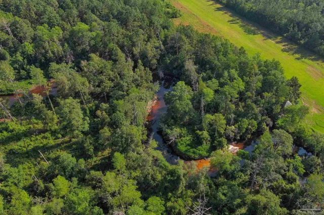 an aerial view of residential house with outdoor space and trees all around