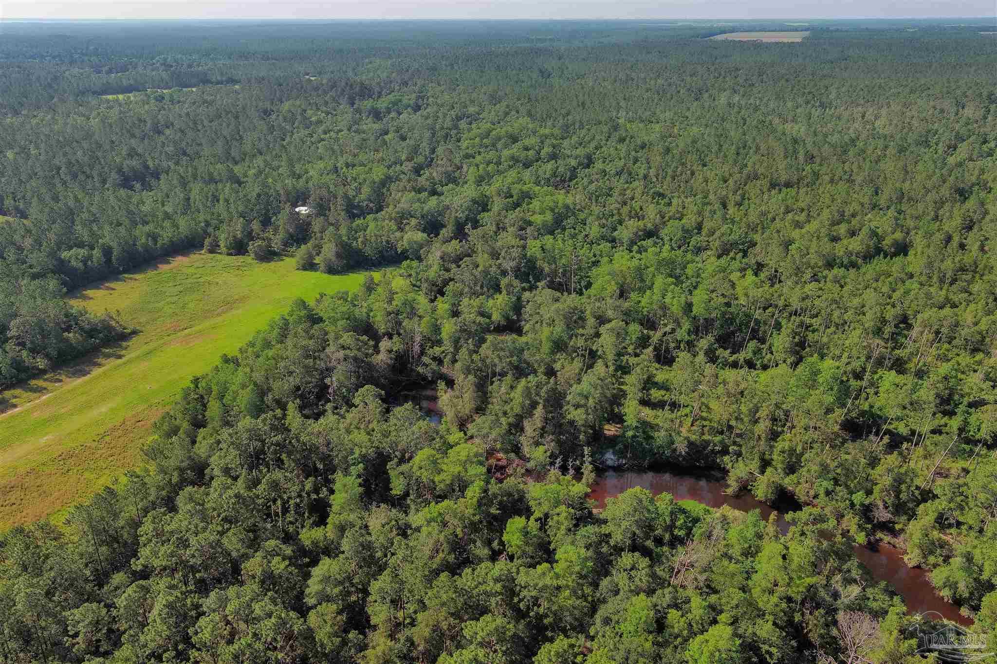 19755 Vaughn Road Seminole, AL 36574 - Photo 45 of 45 a view of a green field with lots of bushes