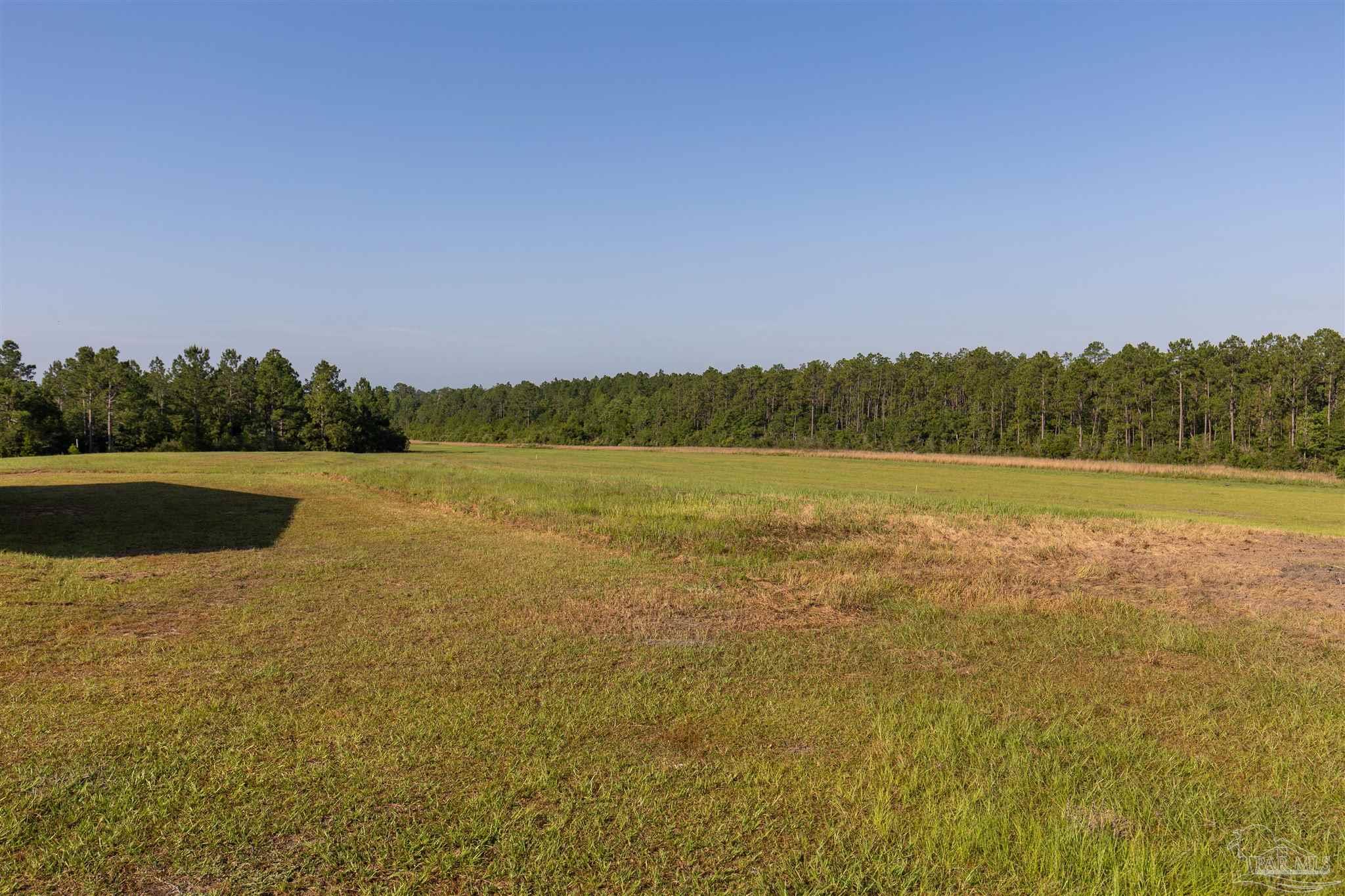 19755 Vaughn Road Seminole, AL 36574 - Photo 5 of 45 a view of lake and mountain view