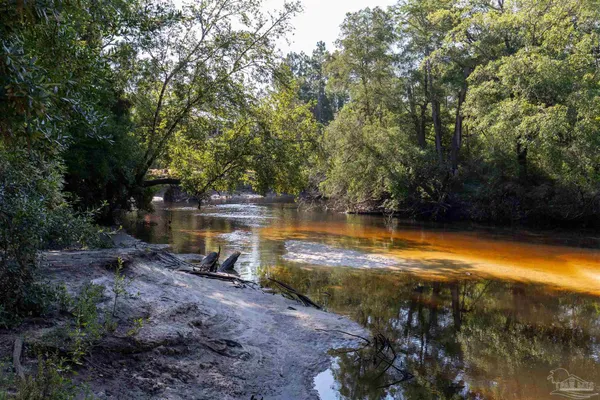 $1,200,000 | 19755 Vaughn Road, Seminole, AL 36574