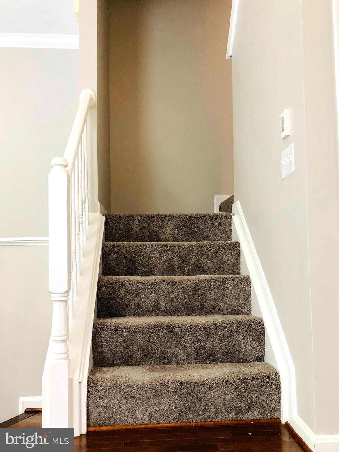 11801 Tarragon Road Reisterstown, MD 21136 - Photo 13 of 31 New Carpet On steps