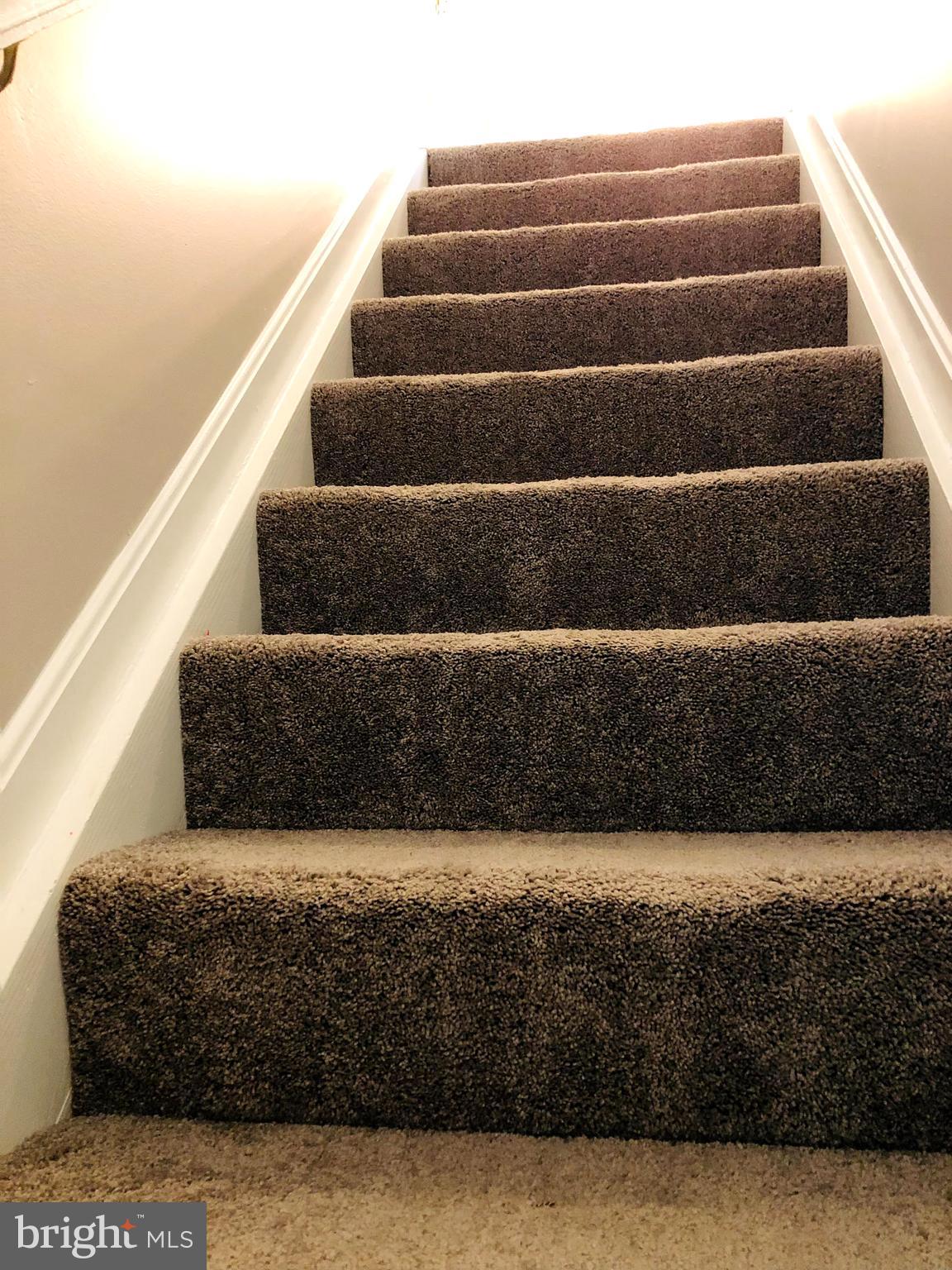 11801 Tarragon Road Reisterstown, MD 21136 - Photo 14 of 31 New Carpet