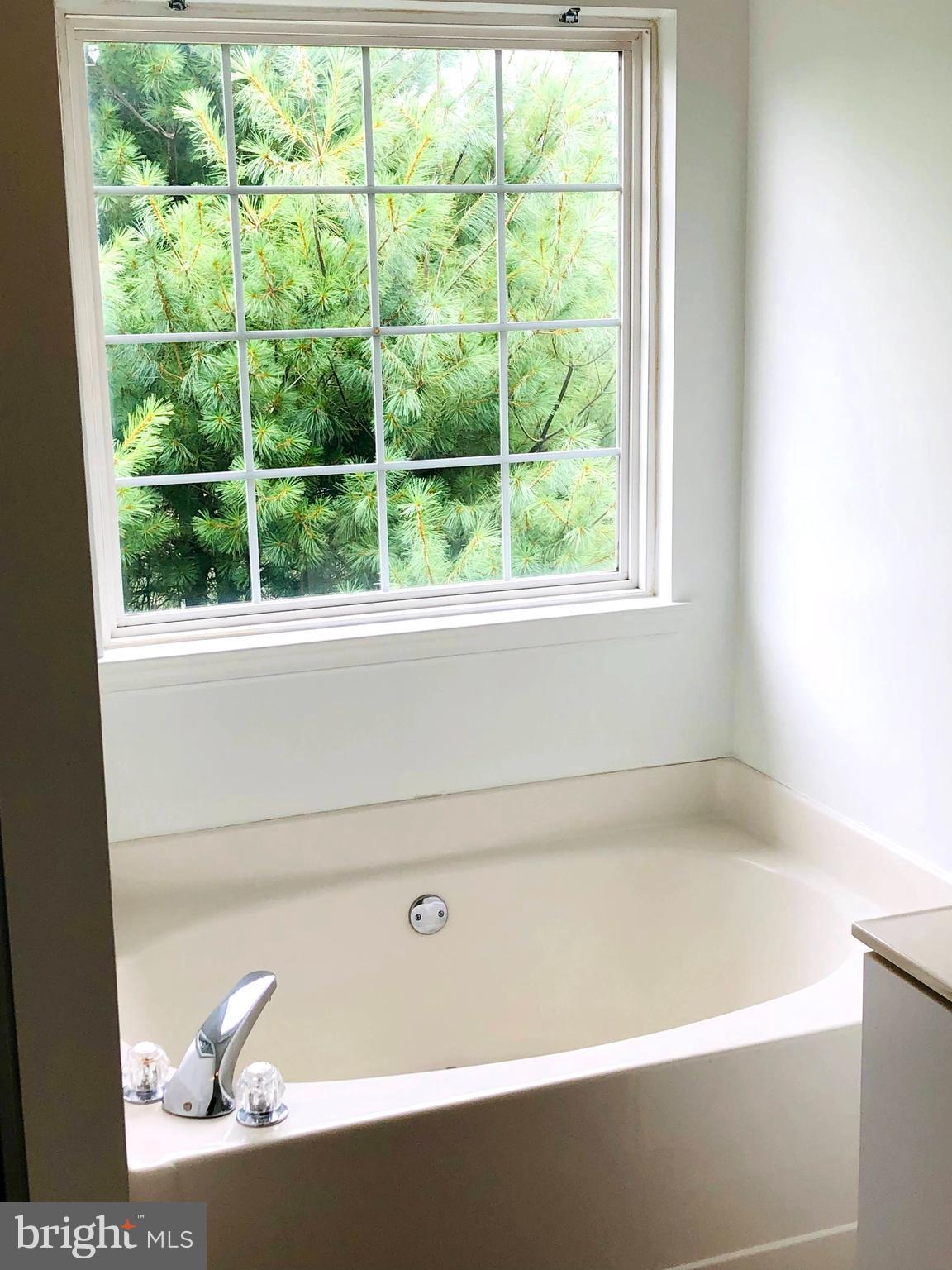 11801 Tarragon Road Reisterstown, MD 21136 - Photo 23 of 31 Owner Suite Tub