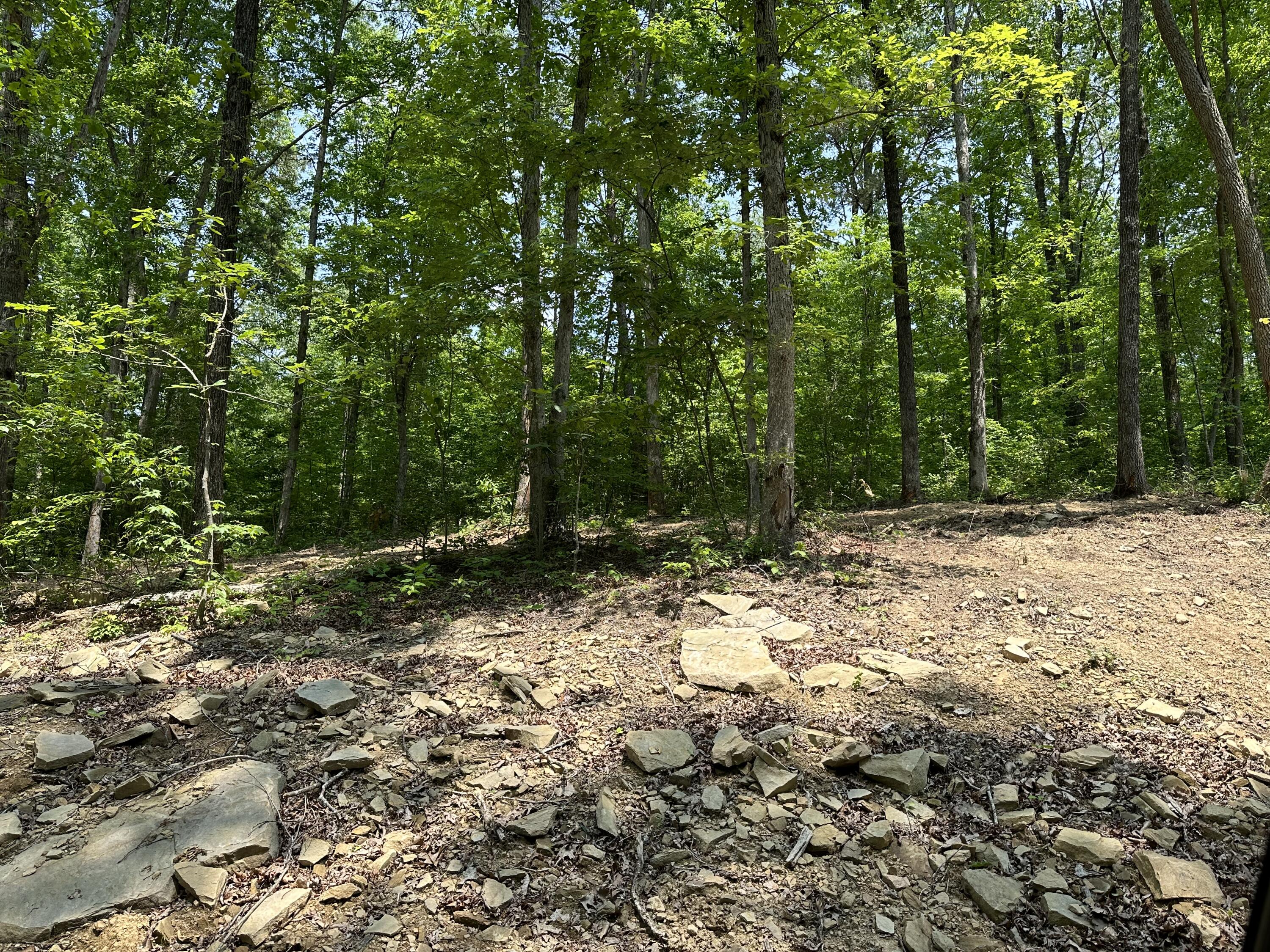 1 Big Sky Road Corbin, KY 40701 - Photo 12 of 12 IMG_5793