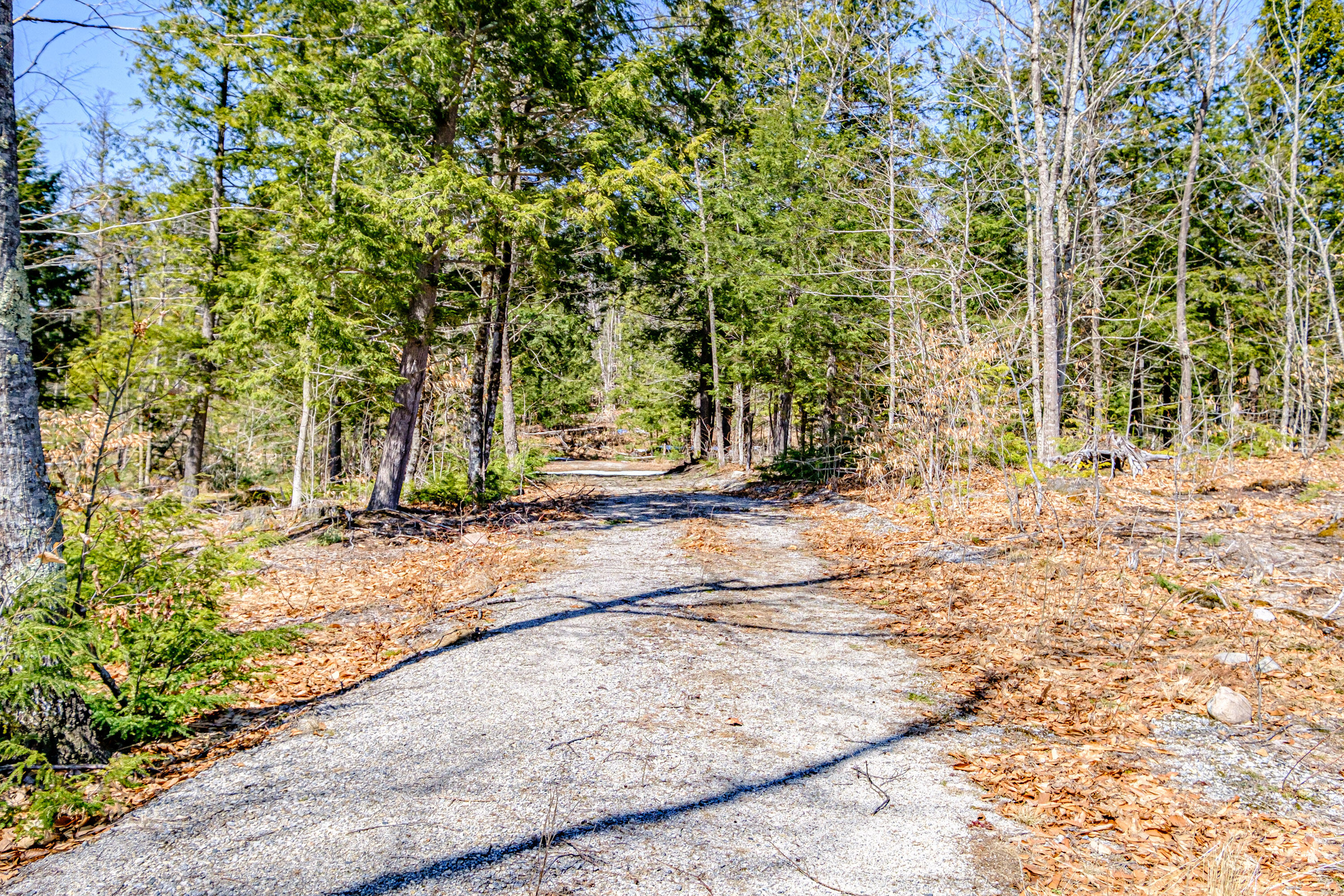 72-74 Lovell Road Fryeburg, ME 04037 - Photo 69 of 90 20250404gp-60062