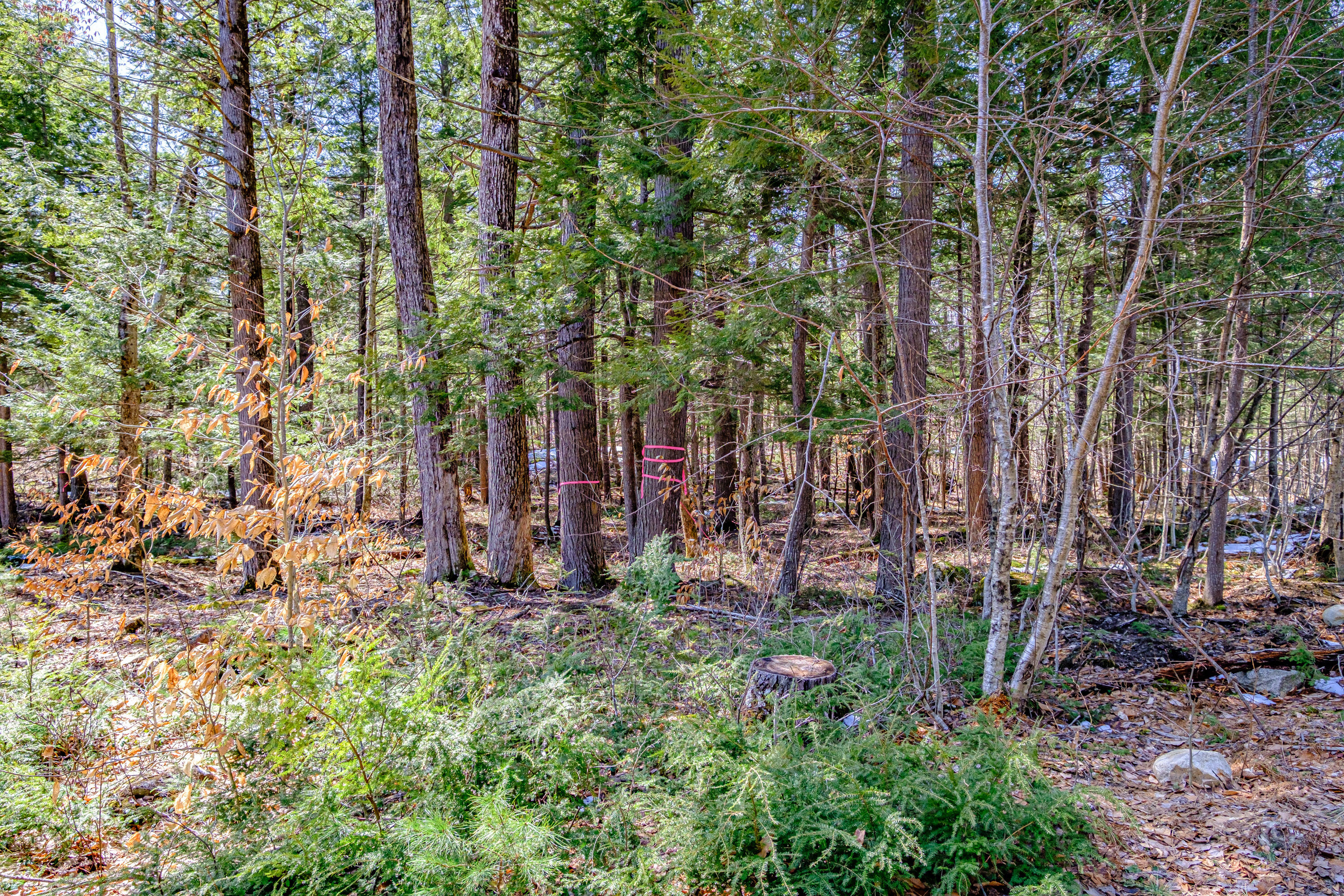 72-74 Lovell Road Fryeburg, ME 04037 - Photo 72 of 90 20250404gp-60067