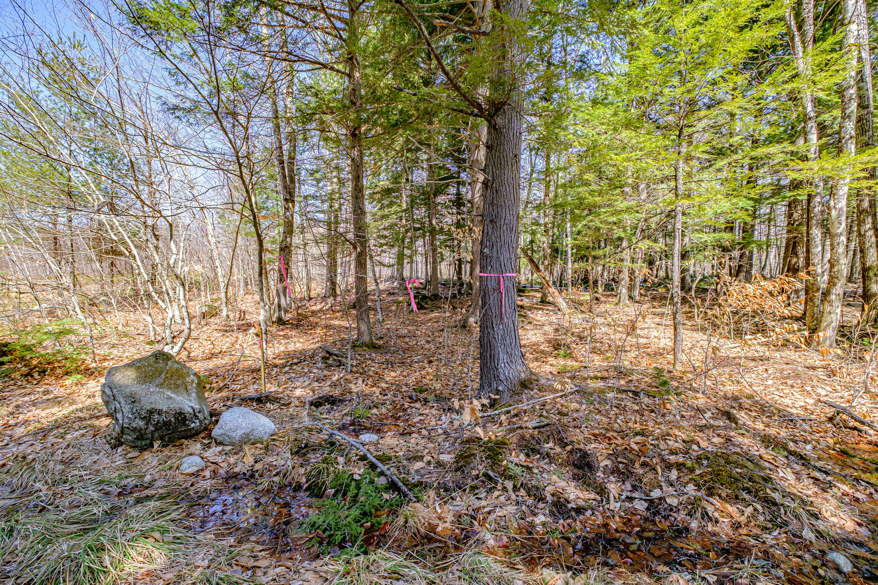 72-74 Lovell Road Fryeburg, ME 04037 - Photo 73 of 90 20250404gp-60068