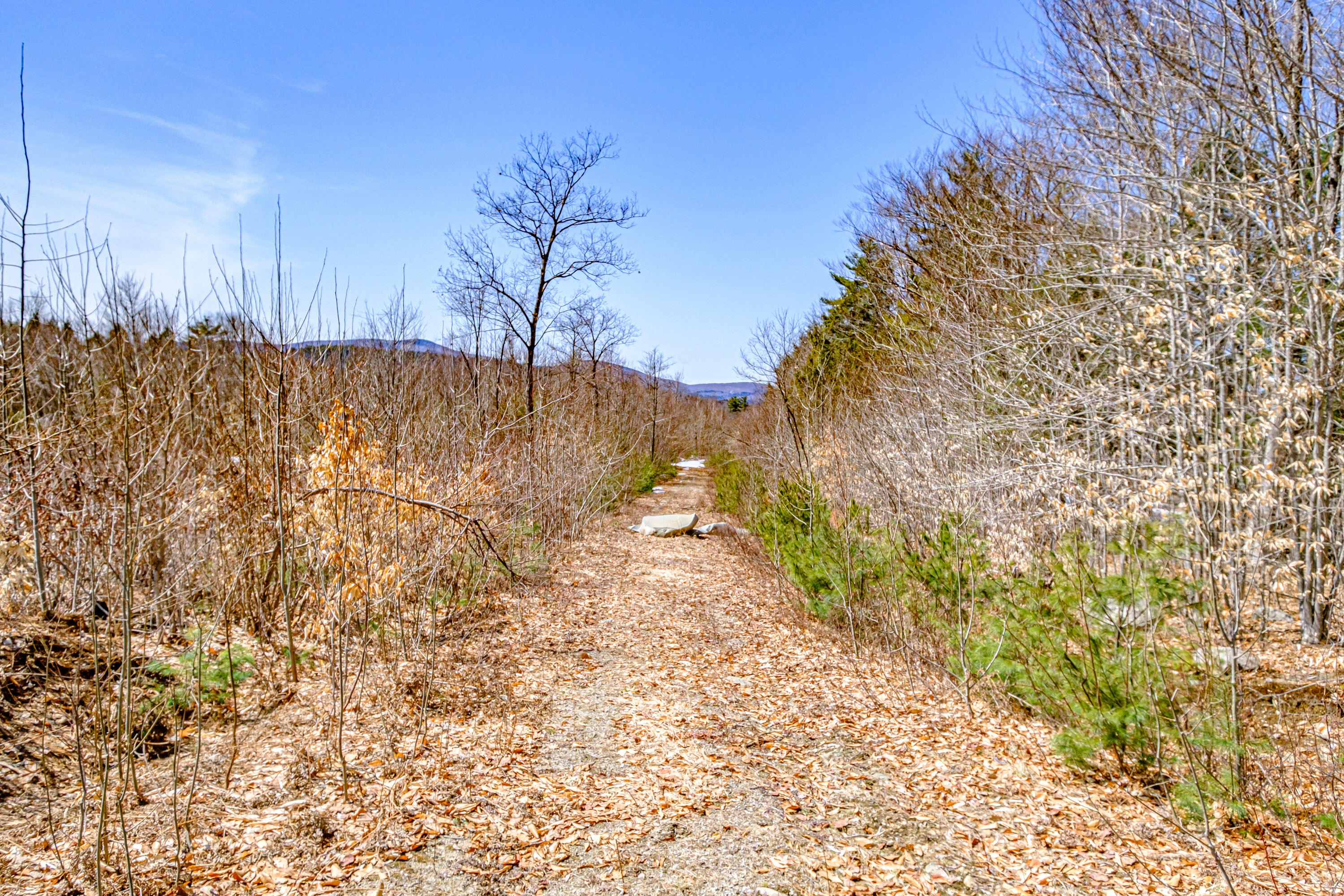 72-74 Lovell Road Fryeburg, ME 04037 - Photo 75 of 90 20250404gp-60085