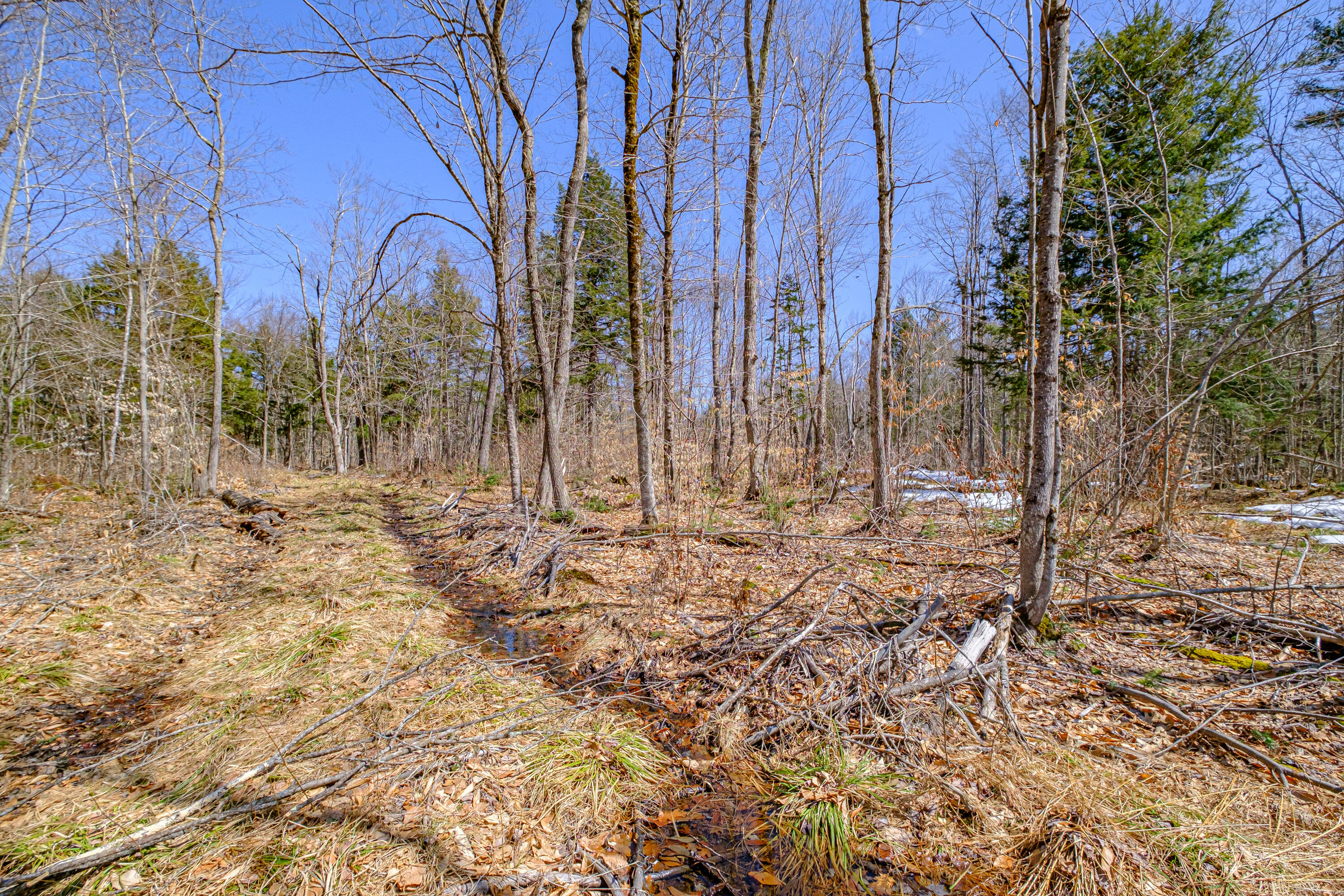 72-74 Lovell Road Fryeburg, ME 04037 - Photo 80 of 90 20250404gp-60104