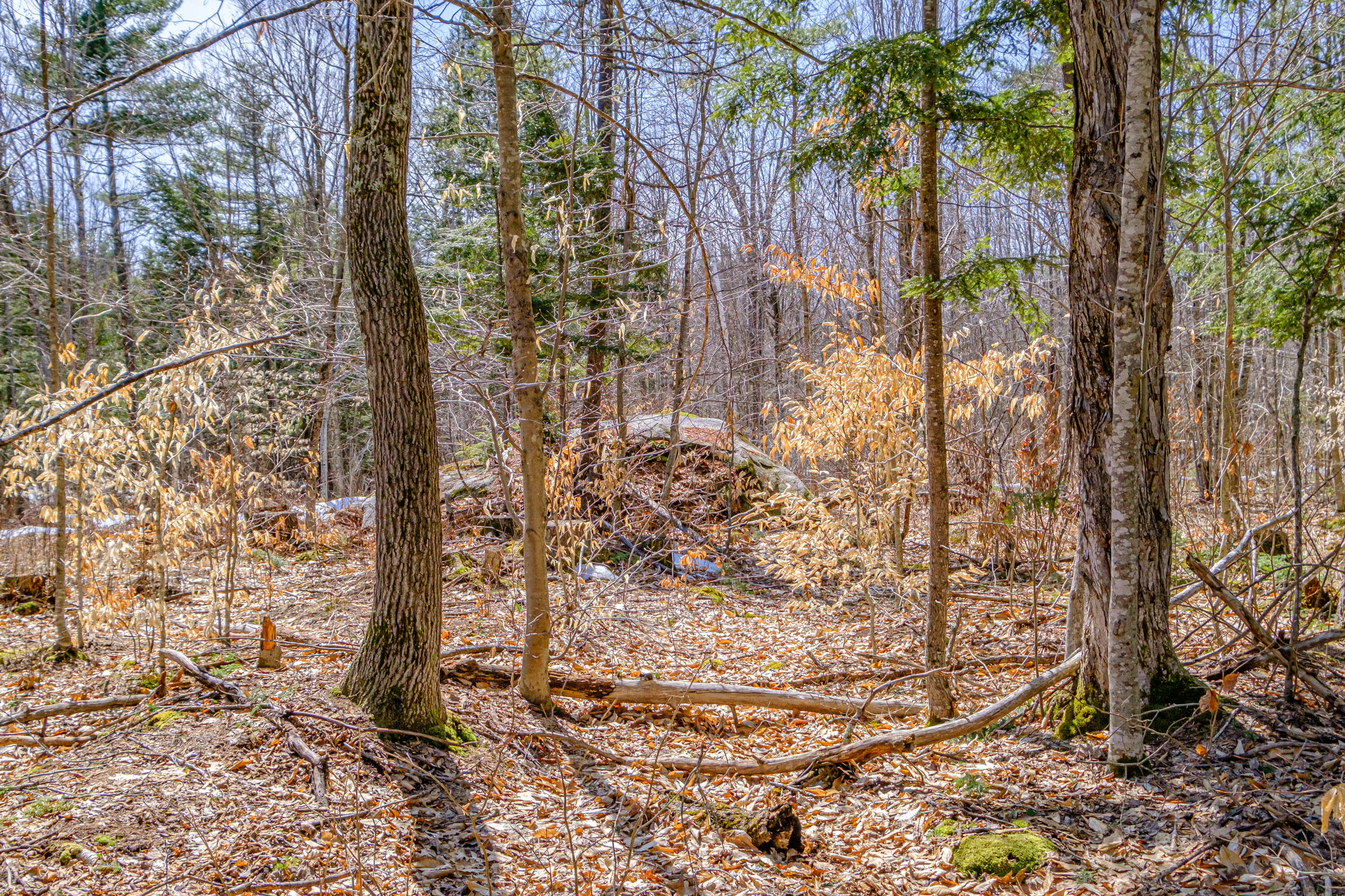 72-74 Lovell Road Fryeburg, ME 04037 - Photo 81 of 90 20250404gp-60106