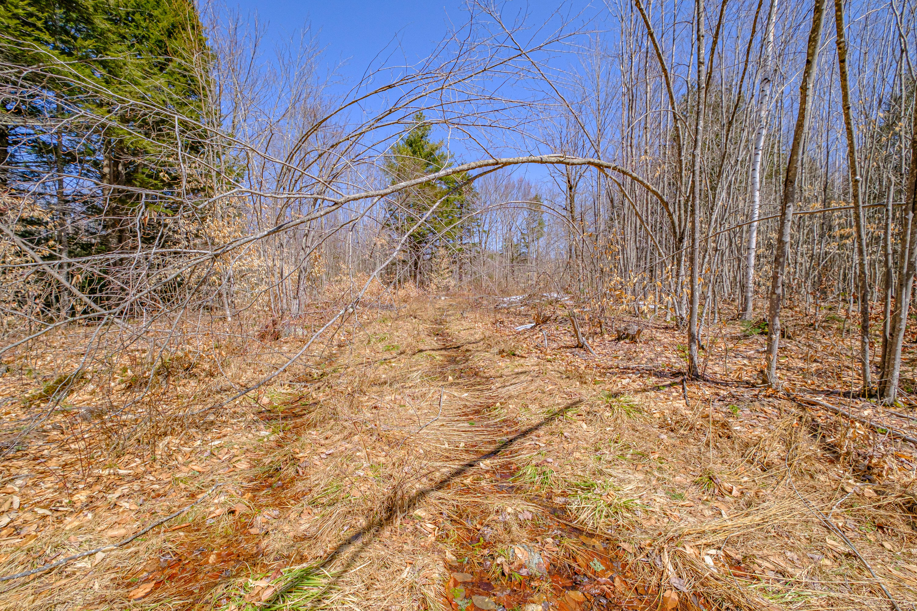 72-74 Lovell Road Fryeburg, ME 04037 - Photo 83 of 90 20250404gp-60108