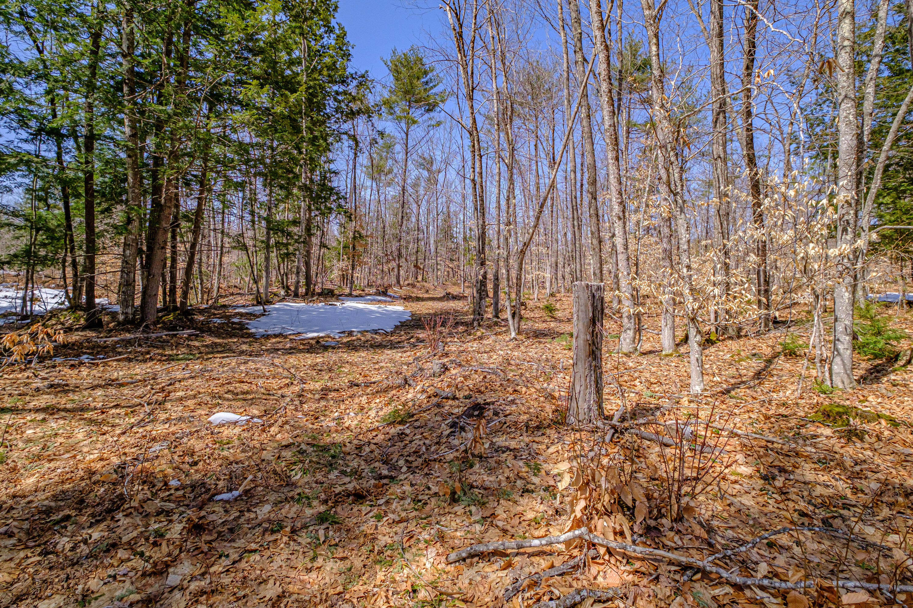 72-74 Lovell Road Fryeburg, ME 04037 - Photo 85 of 90 20250404gp-60118