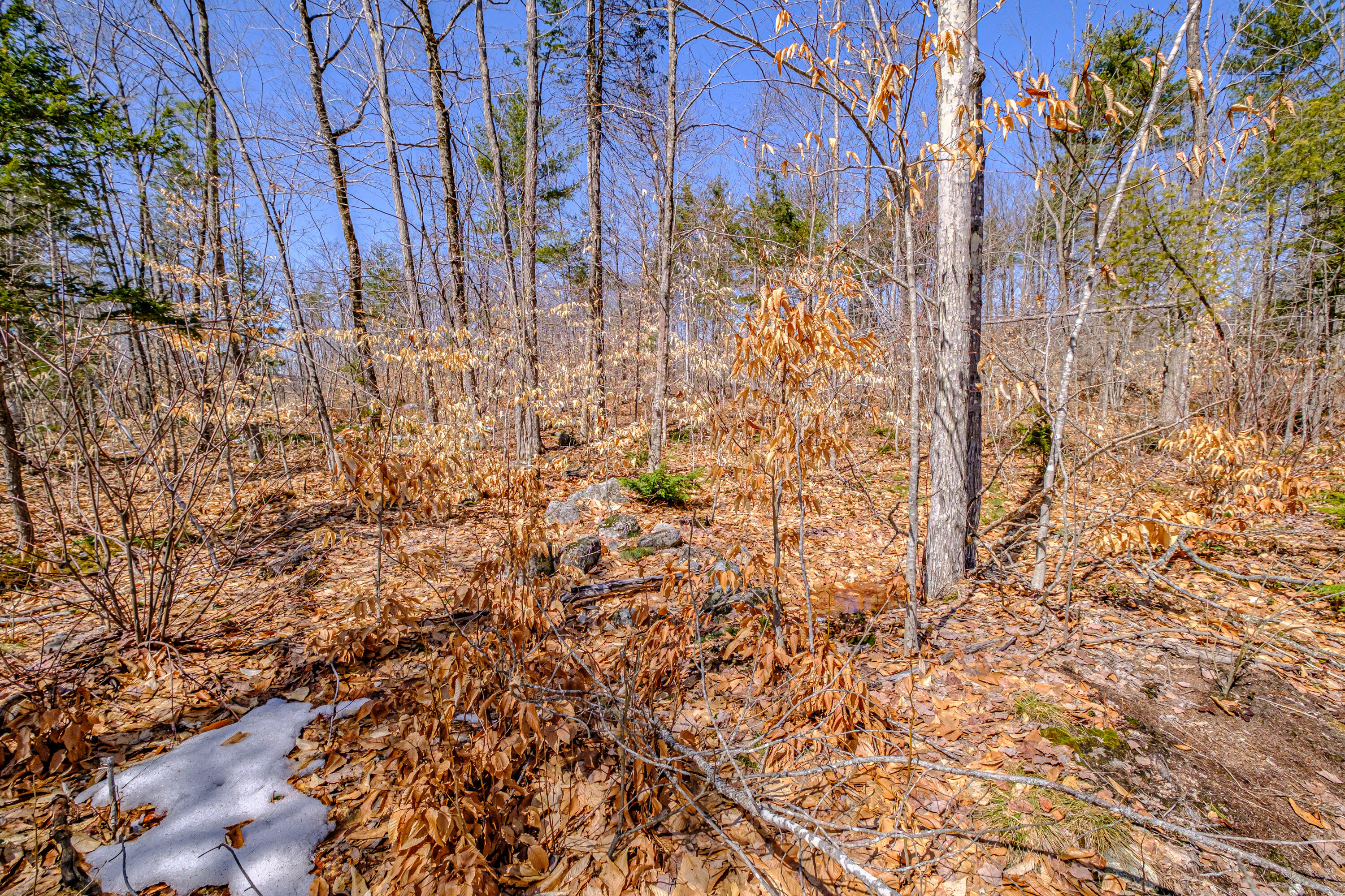 72-74 Lovell Road Fryeburg, ME 04037 - Photo 86 of 90 20250404gp-60121