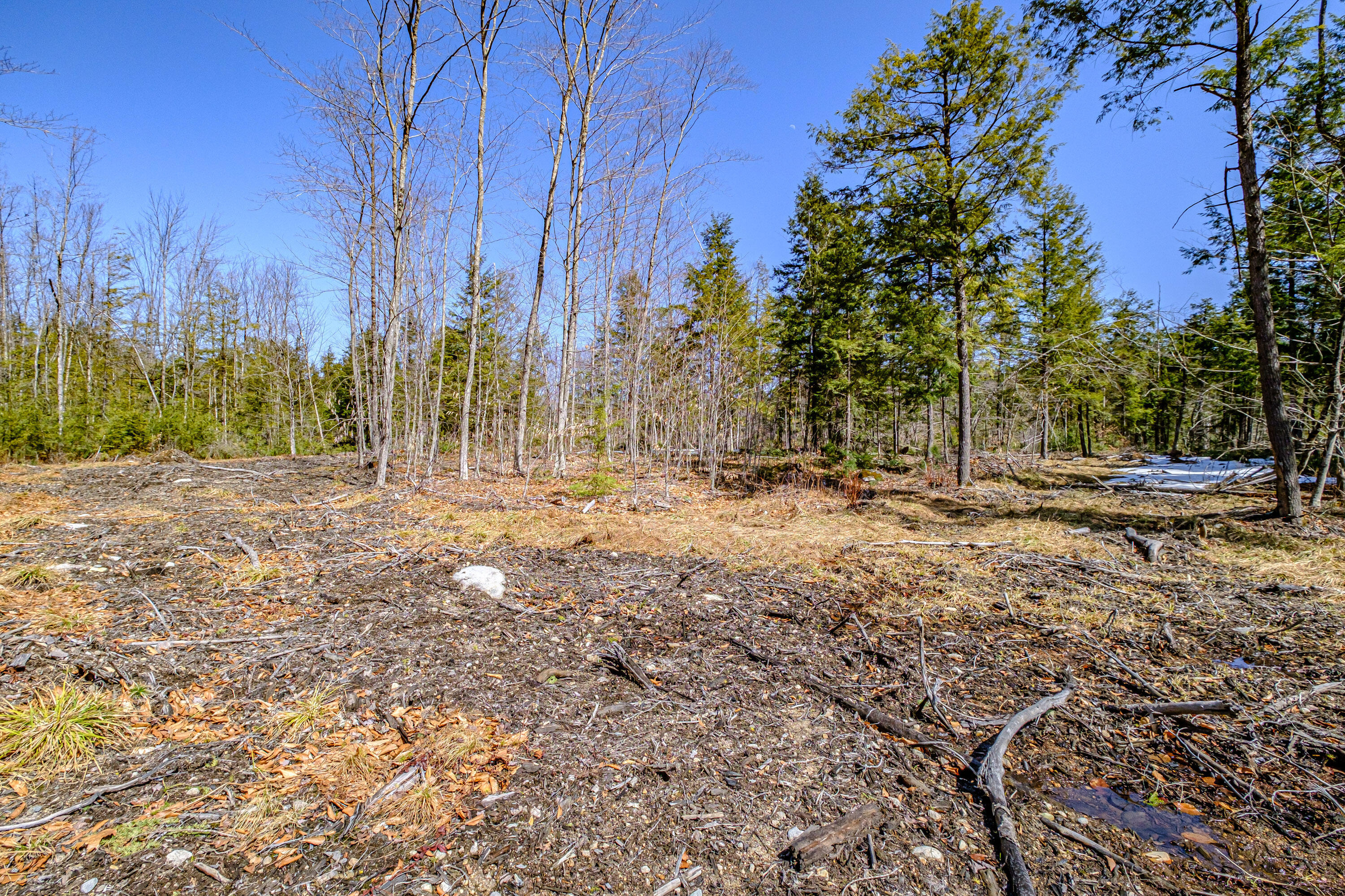 72-74 Lovell Road Fryeburg, ME 04037 - Photo 89 of 90 20250404gp-60126