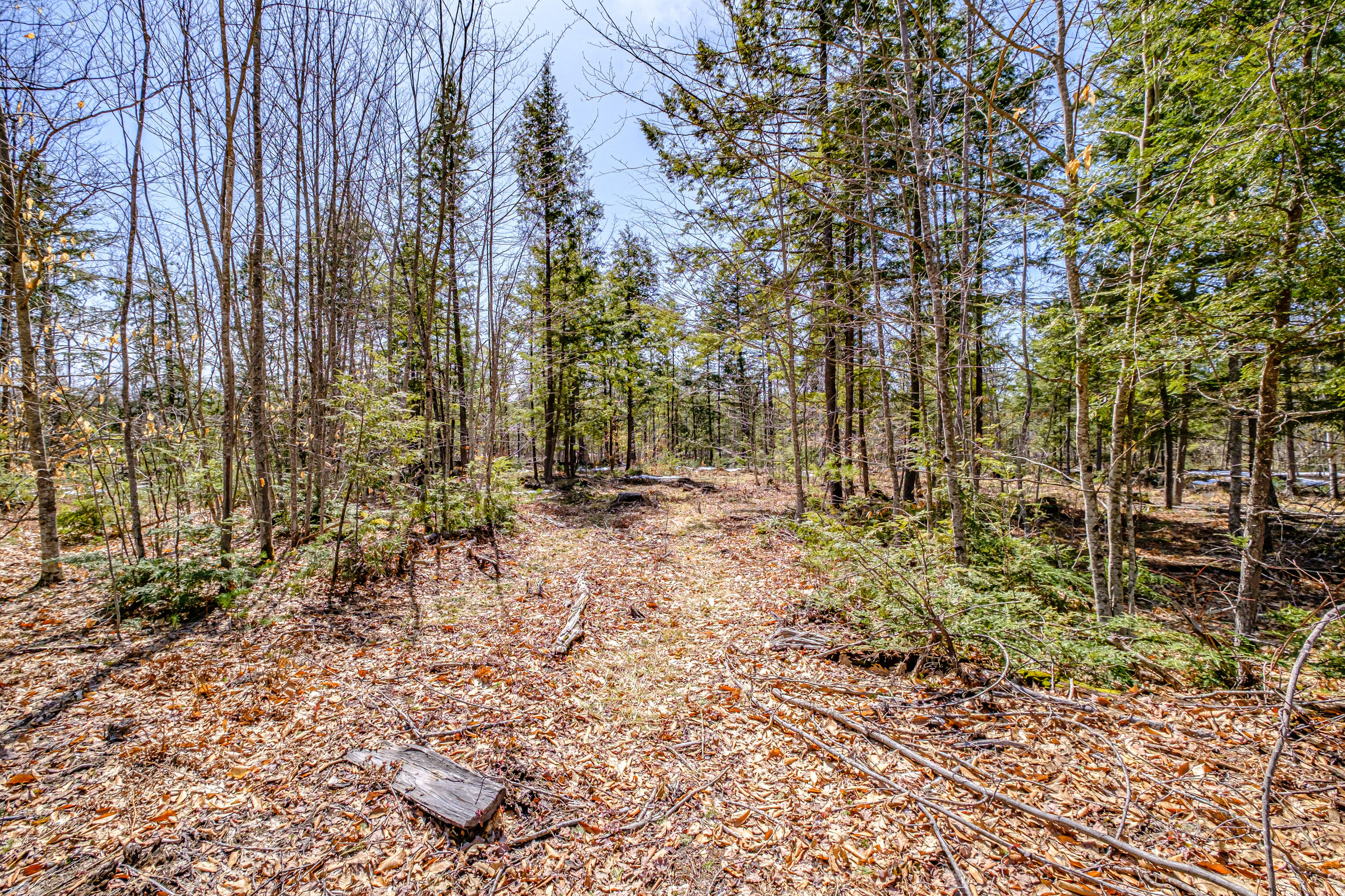 72-74 Lovell Road Fryeburg, ME 04037 - Photo 90 of 90 20250404gp-60127