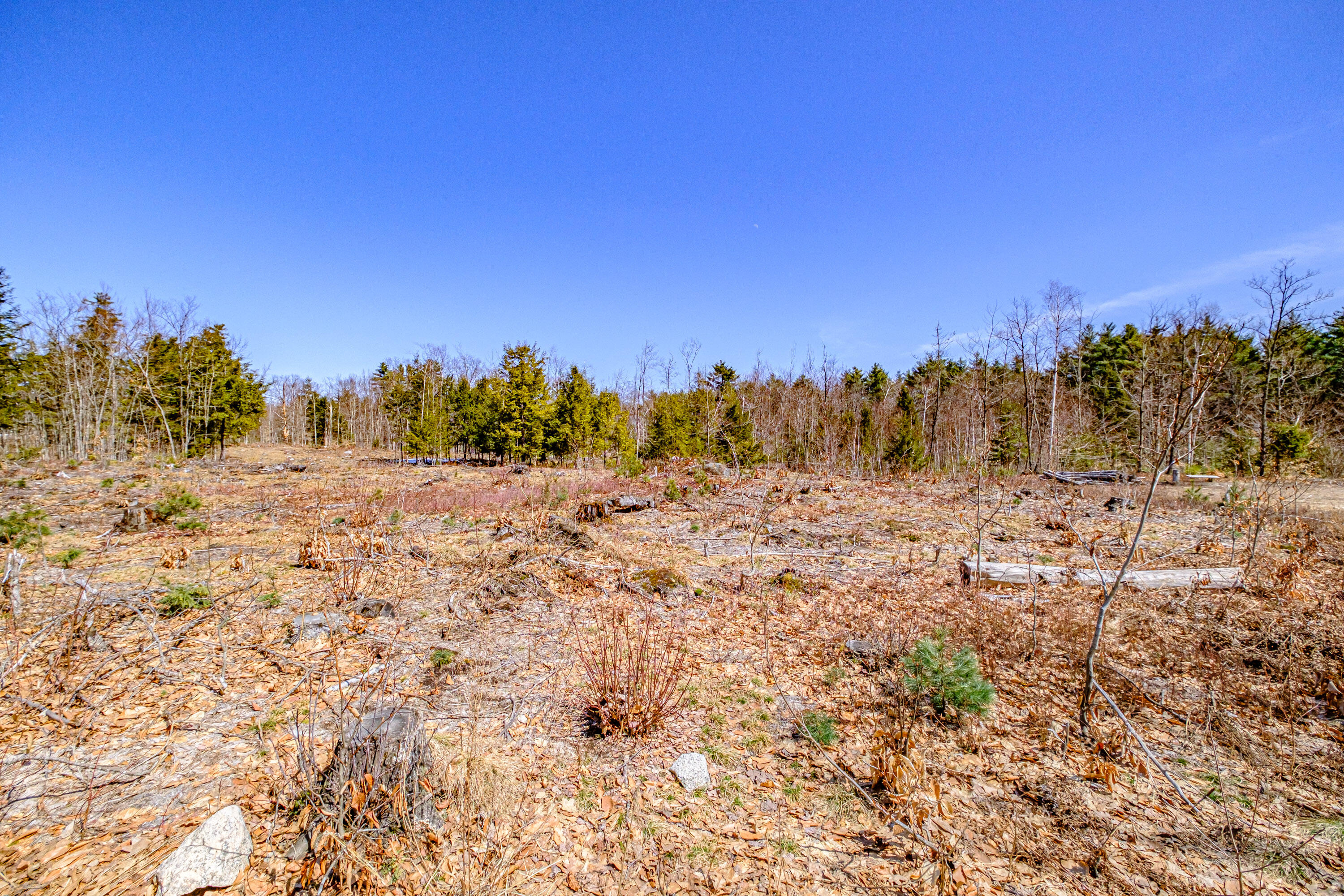 72-74 Lovell Road Fryeburg, ME 04037 - Photo 9 of 90 20250404gp-60061