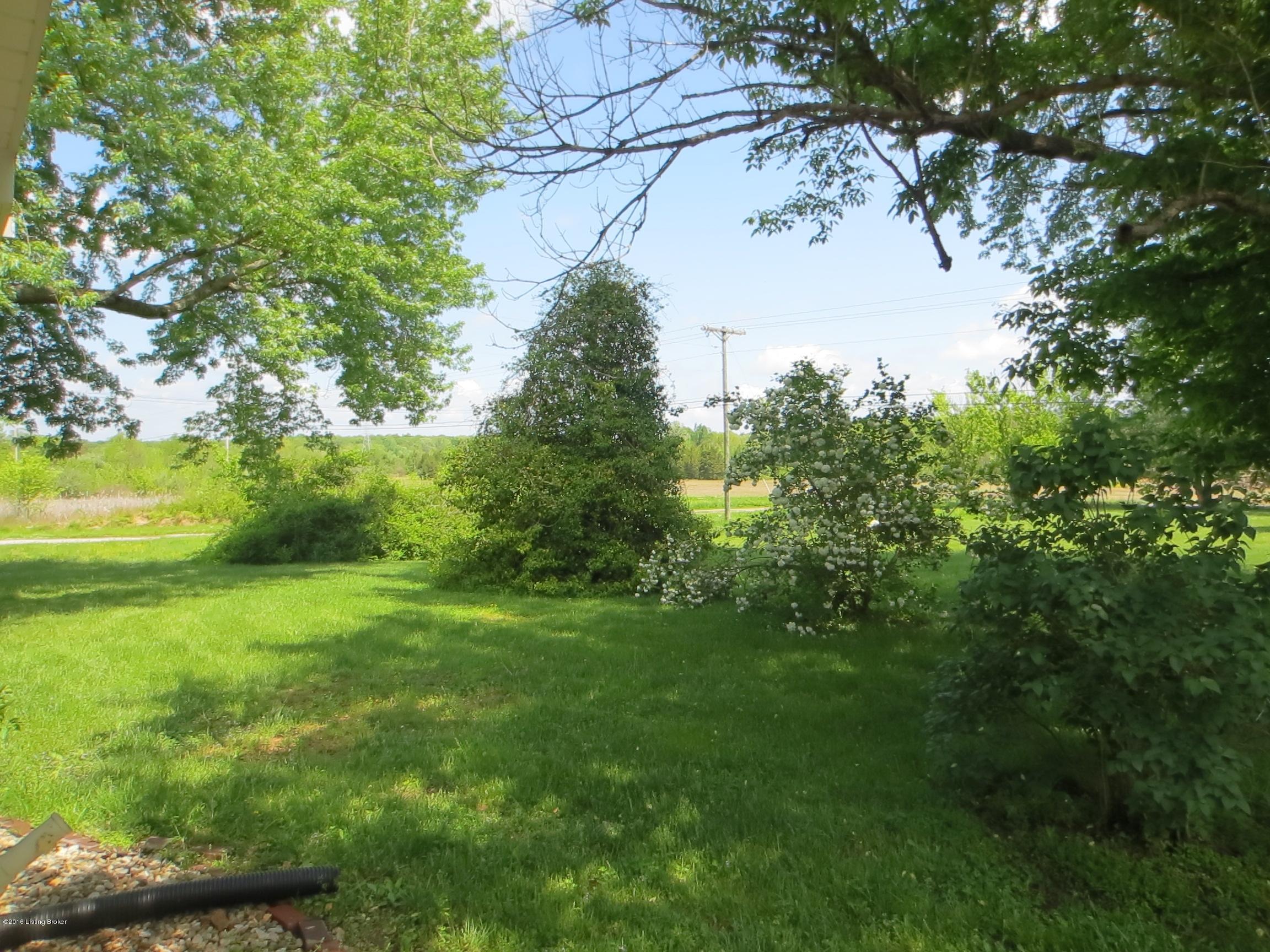 707 Lower Colesburg Road Elizabethtown, KY 42701 - Photo 18 of 24 IMG_1215