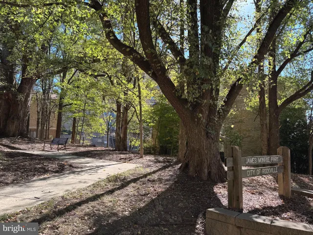 a view of a house with backyard and trees