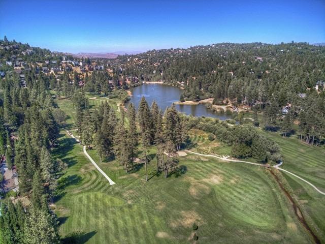 435 Riviera Drive Lake Arrowhead, CA 92352 - Photo 2 of 40