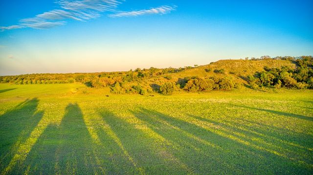 a view of a back yard