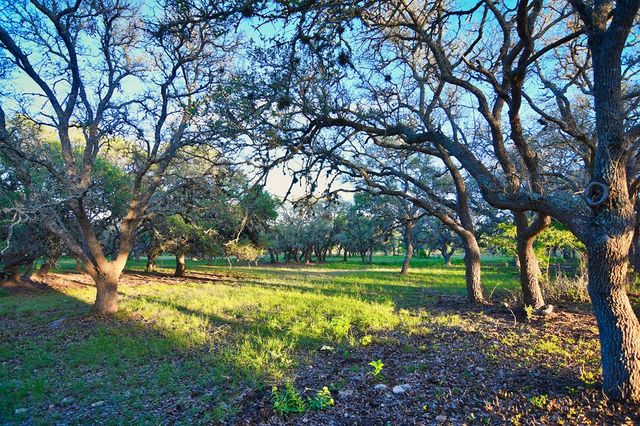 a view of lake with mountain