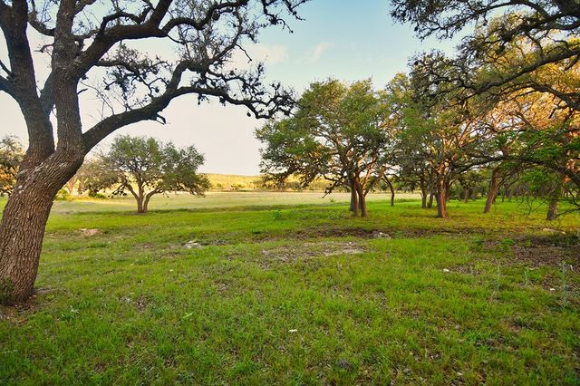 a view of green field with large trees