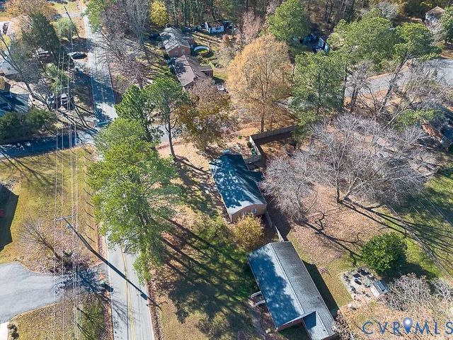 a view of a yard with plants and large trees