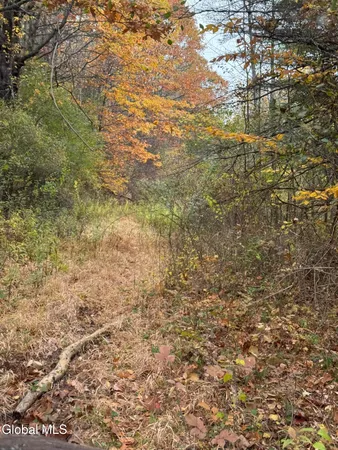 $275,000 | L4.3 Cass Hill Road, Voorheesville, NY 12186