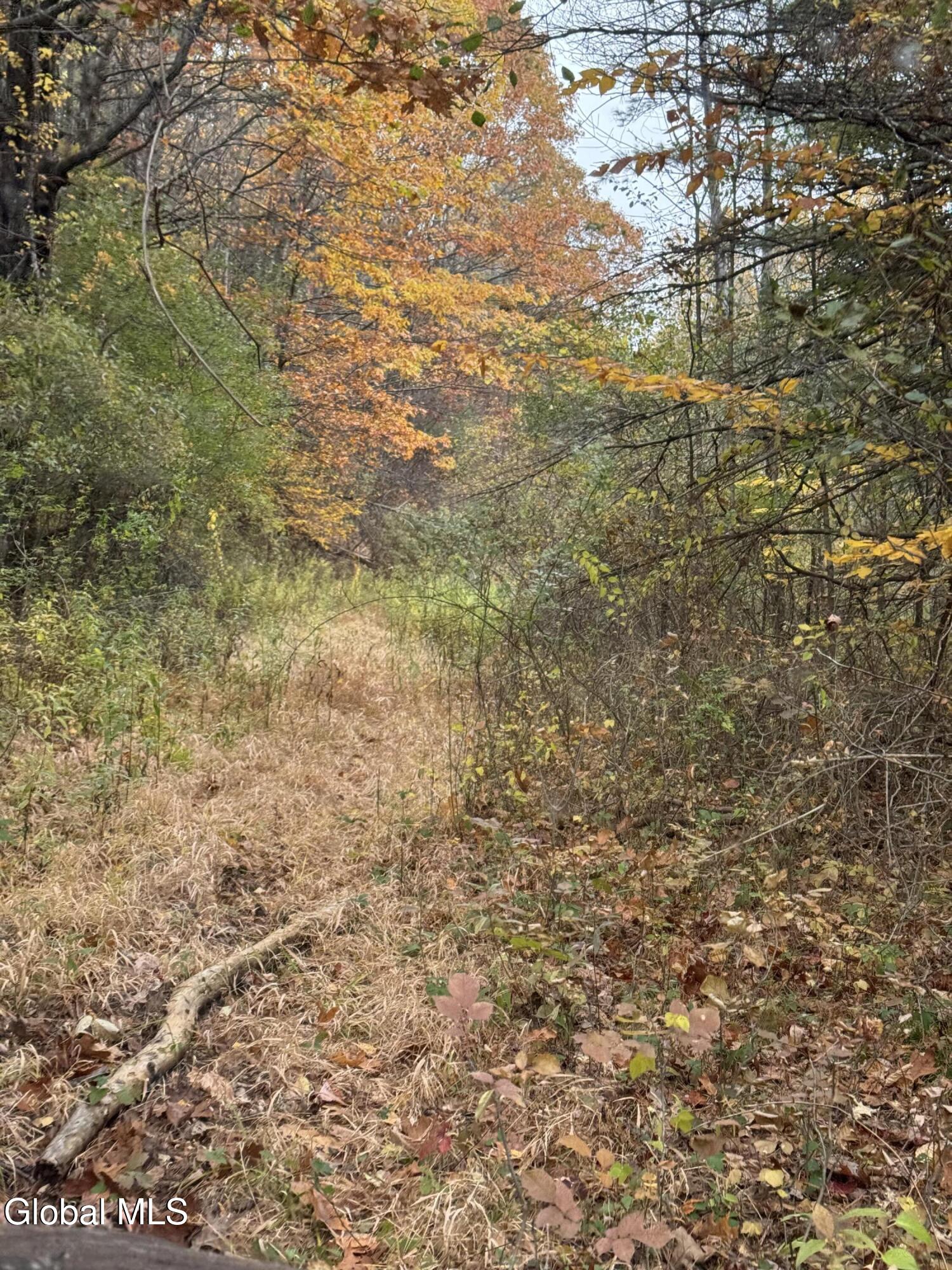 L4.3 Cass Hill Road Voorheesville, NY 12186 - Photo 11 of 16 IMG_7478