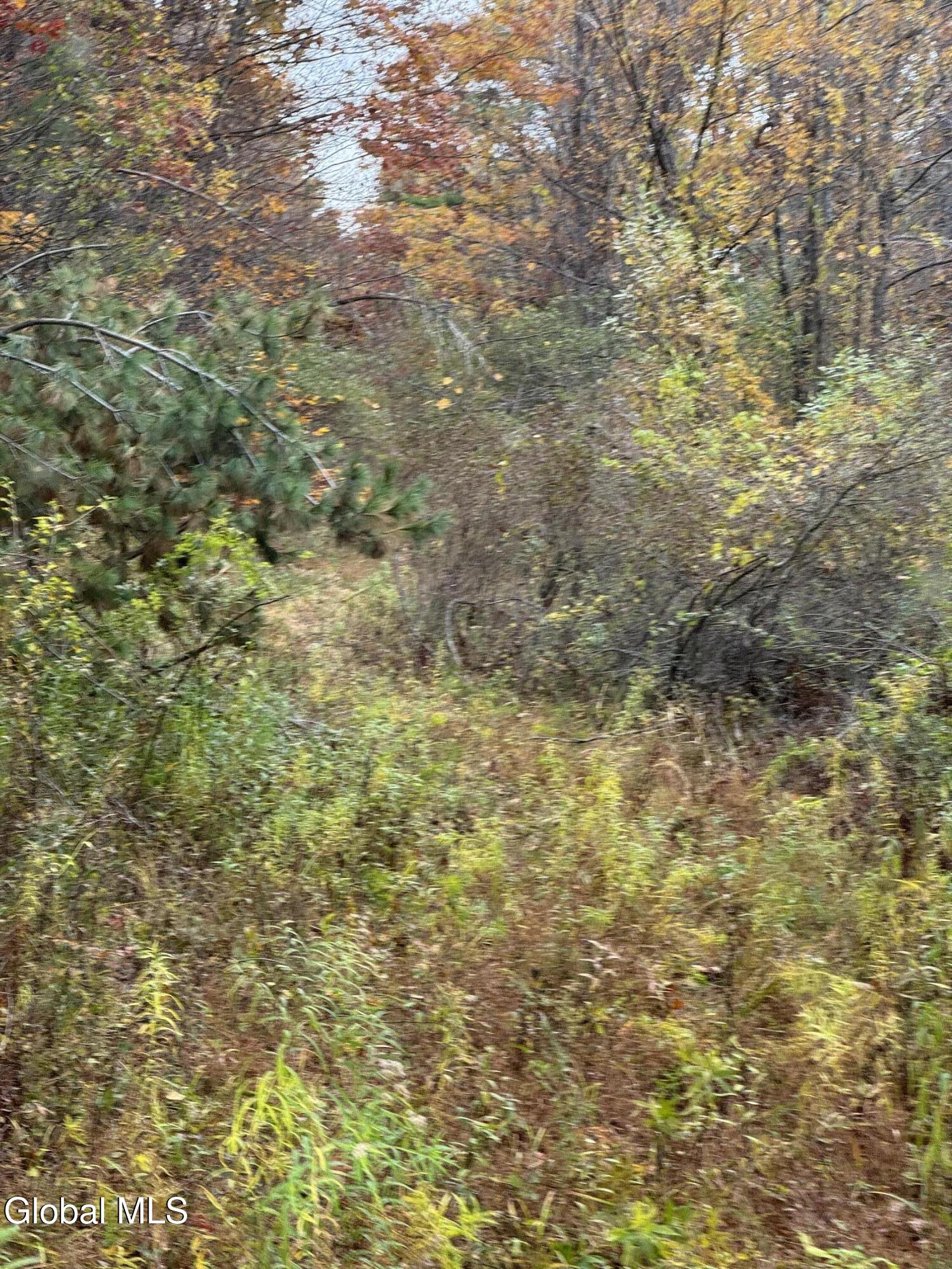 L4.3 Cass Hill Road Voorheesville, NY 12186 - Photo 10 of 16 IMG_7479