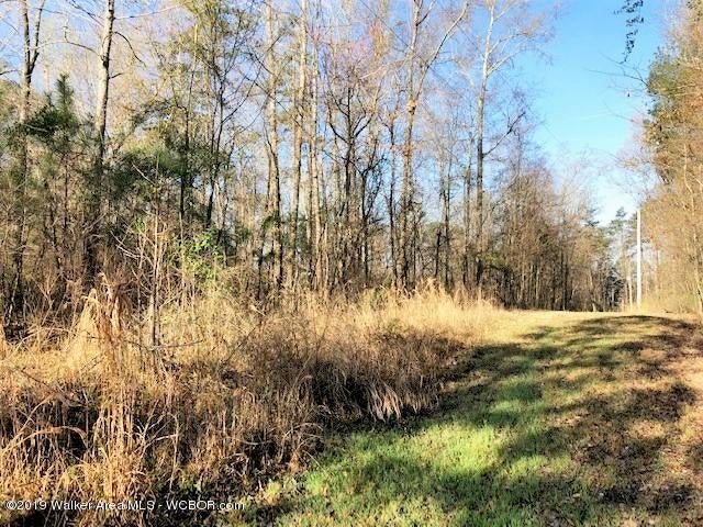 4009 County Road Crane Hill, AL 35053 - Photo 4 of 5 Gallery Image 4