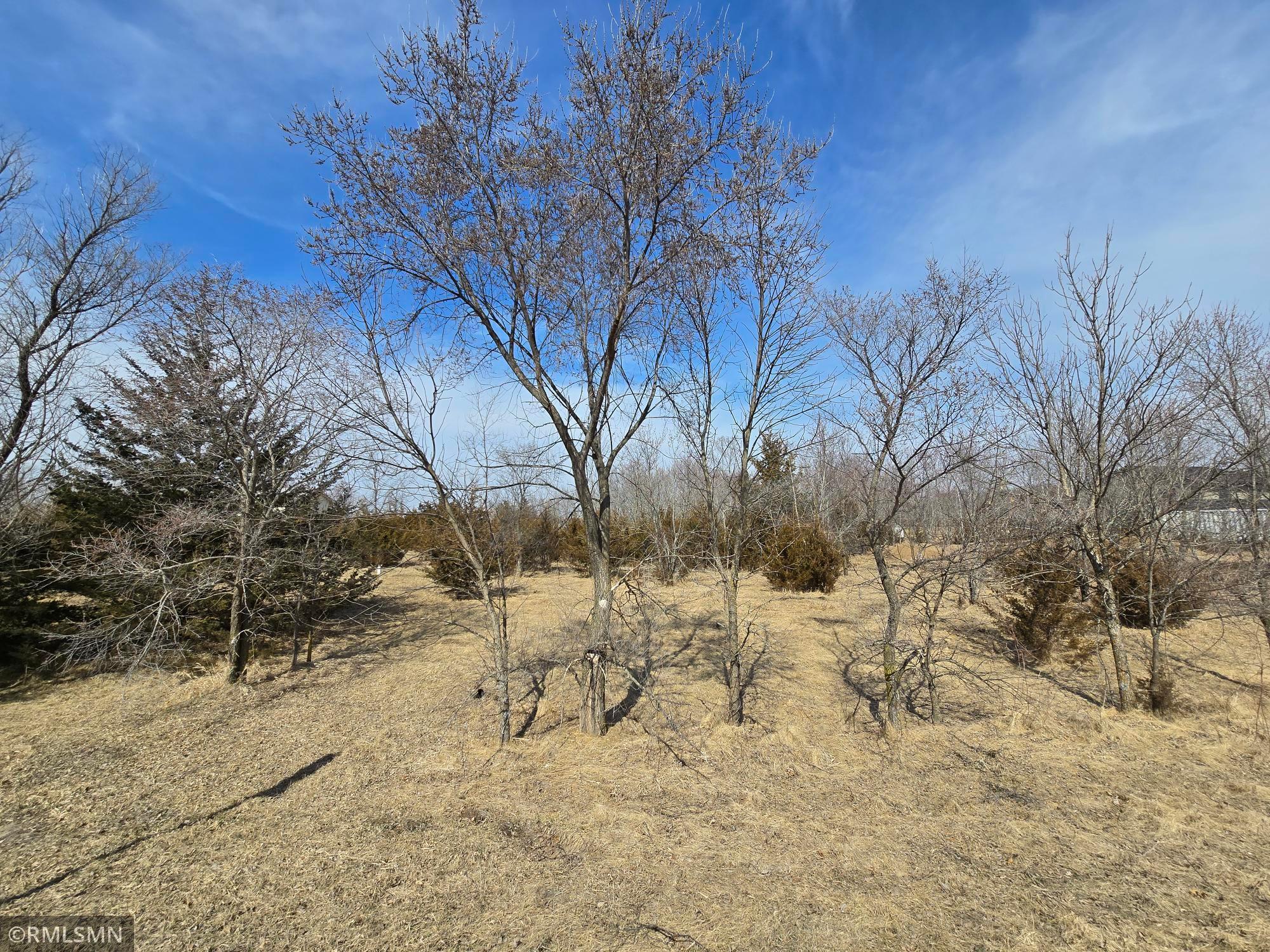 316 Woods Edge Road Clearwater, MN 55320 - Photo 3 of 9