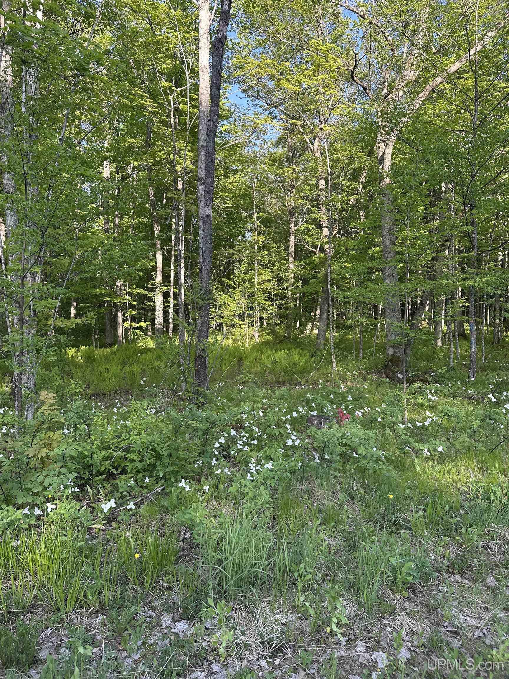 549 Sheltrow Road Crystal Falls, MI 49920 - Photo 23 of 35
