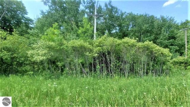 Mills Road Prescott, MI 48756 - Photo 6 of 7