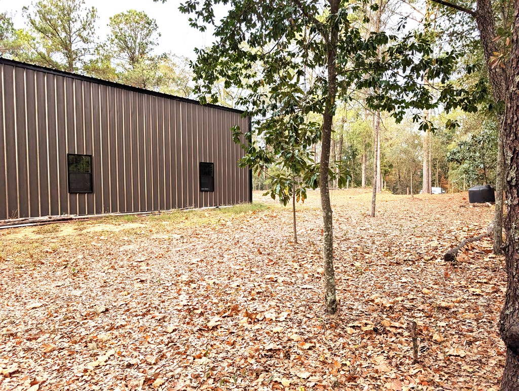100 Womack Road Ashford, AL 36312 - Photo 7 of 12