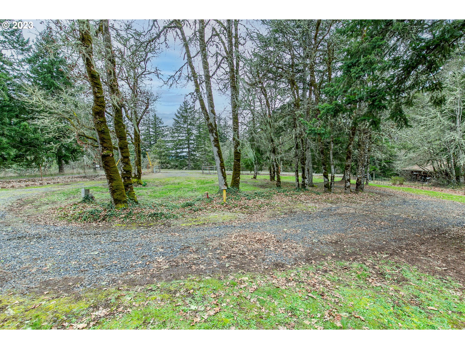 38395 Old Pengra Road Fall Creek, OR 97438 - Photo 30 of 32 a view of outdoor space with trees