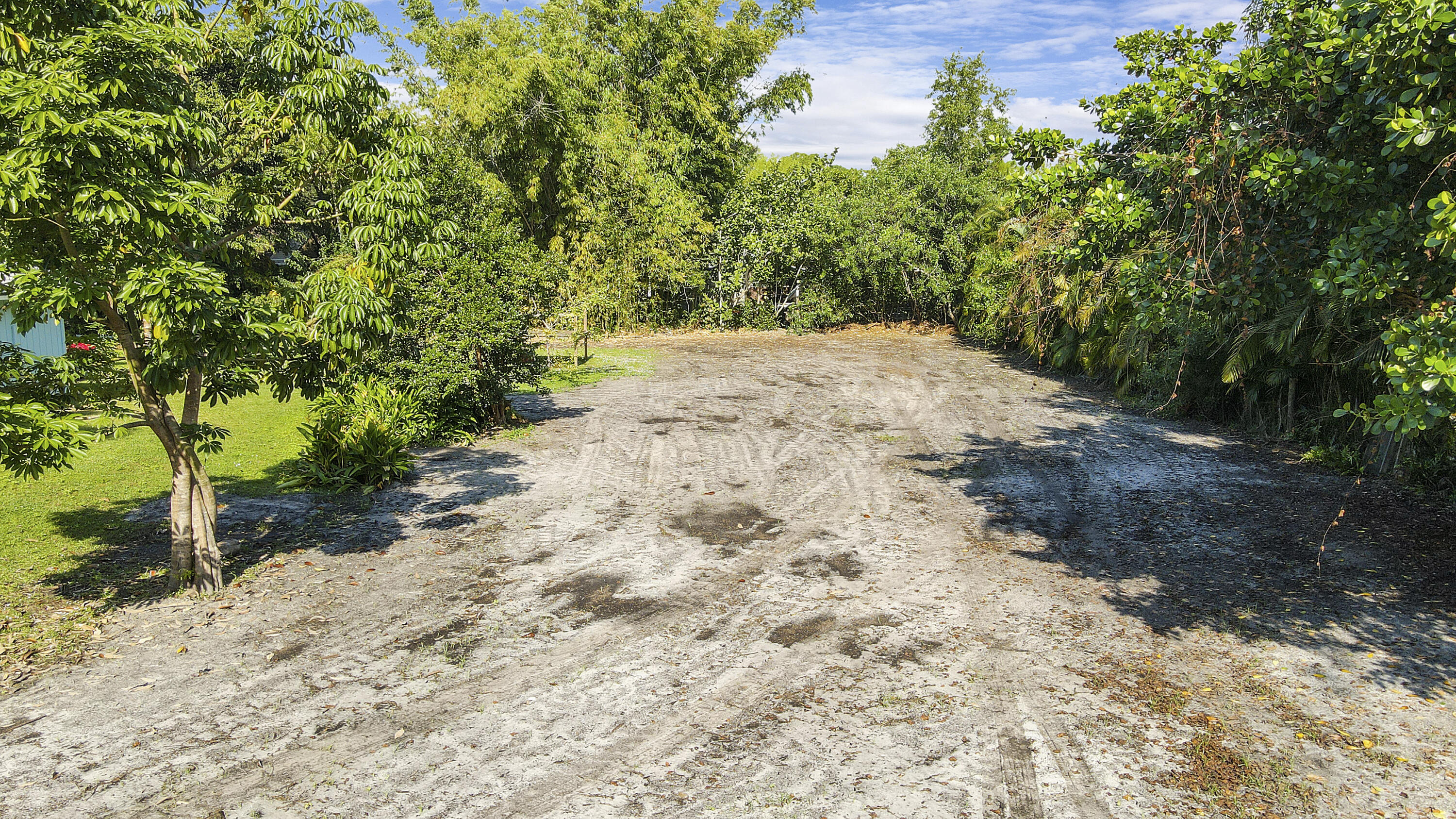 13431 153rd Road North Jupiter, FL 33478 - Photo 29 of 44 a view of a yard with plants and trees