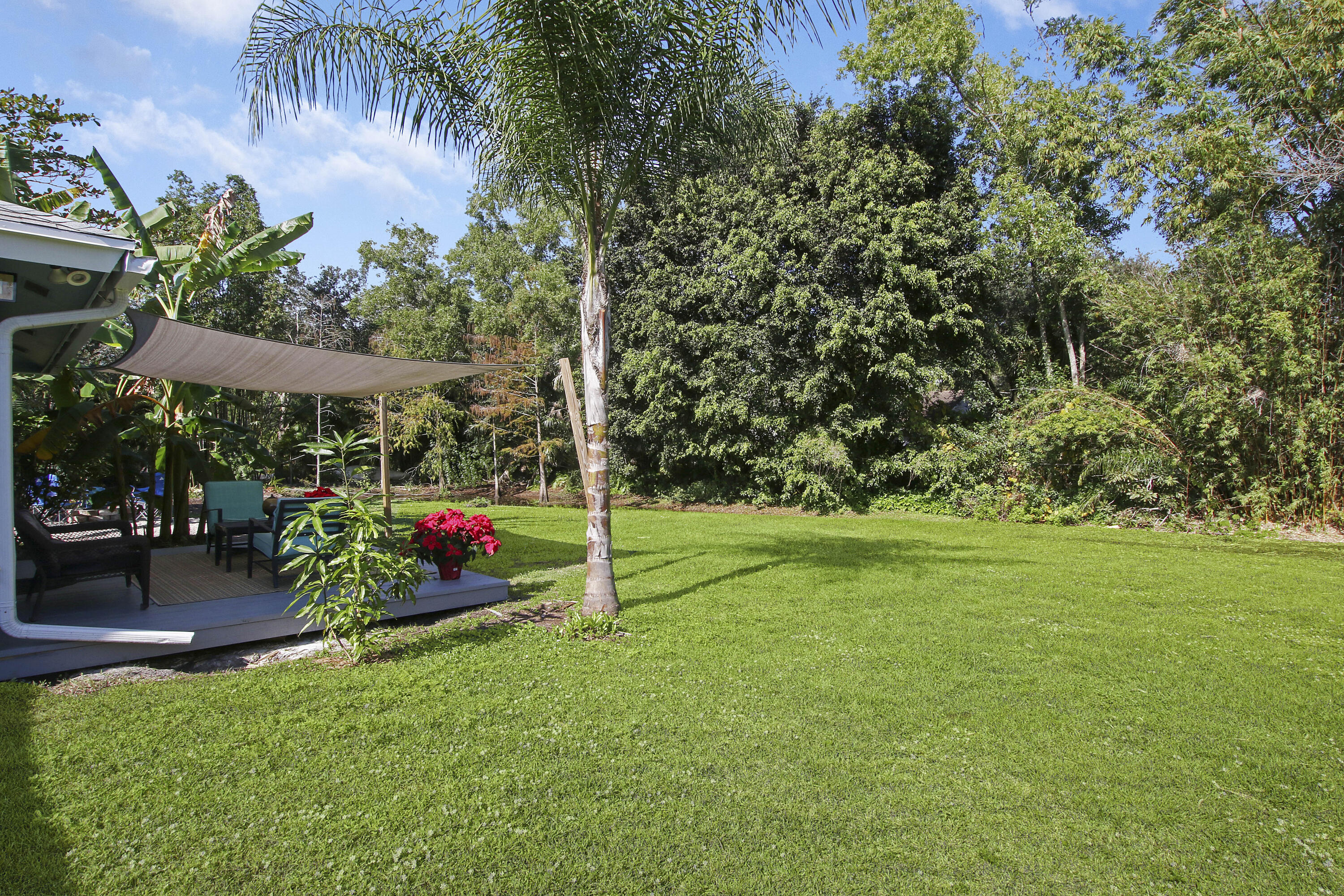 13431 153rd Road North Jupiter, FL 33478 - Photo 30 of 44 a view of a backyard with plants and a garden